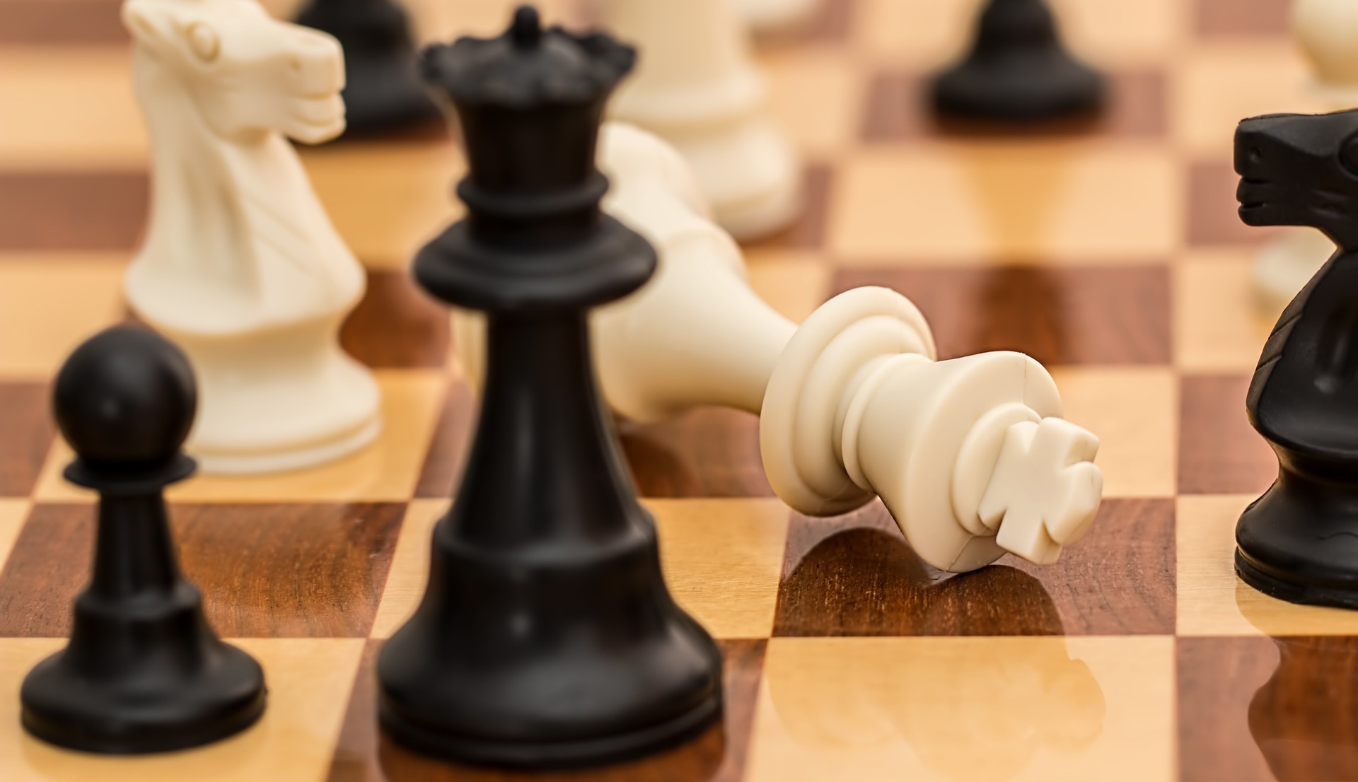 checkmate 1511866 1920