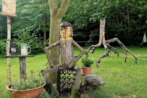 A természettel élni