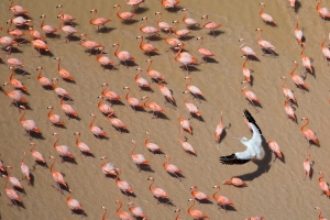 Vörös Lóránt fotókiállítása